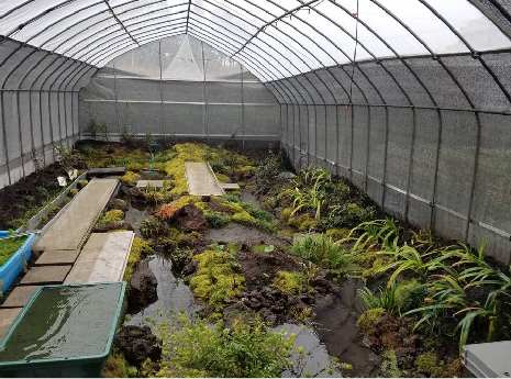 ビオトープとは