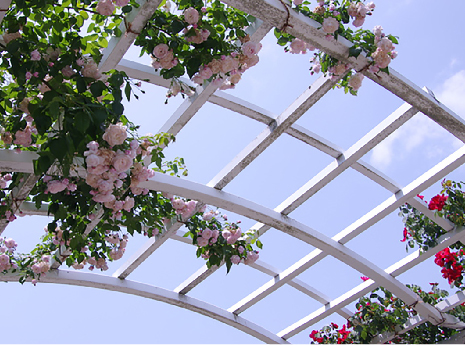 パーゴラの画像